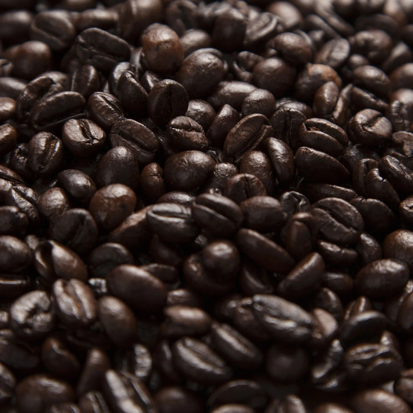 Continental Blend Coffee - Image 6