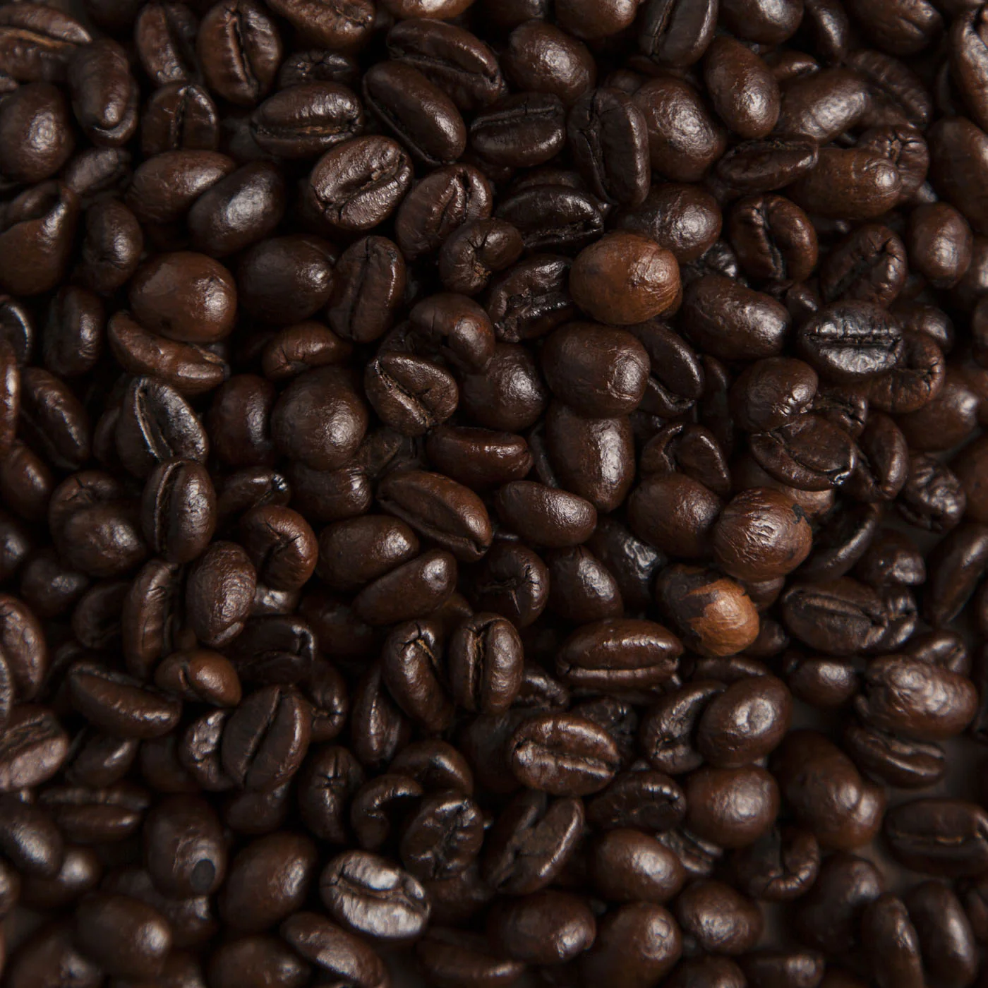 Continental Blend Coffee - Image 7