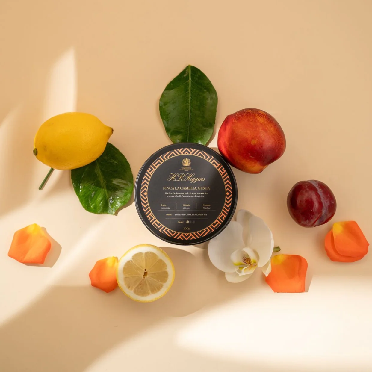 Finca La Camelia, Gesha – Whole Bean Coffee Tin - Image 3